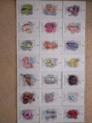 Manuales MIR academia CTO