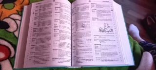 DIDAC: Diccionari de català