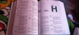 DIDAC: Diccionari de català