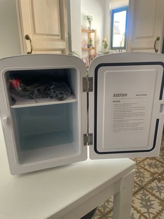 Nevera mini 4L
