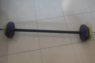 Barra de pesas con 4 discos