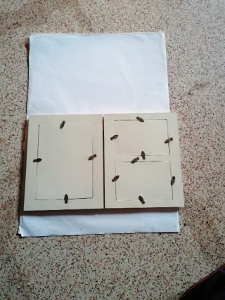 Portafoto a libro con farfalle