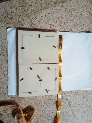 Portafoto a libro con farfalle