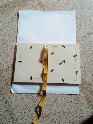 Portafoto a libro con farfalle