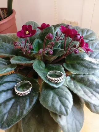 Pendientes de plata trenzados