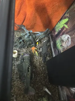 Pecera 60L con accesorios