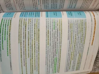 EMPRESA E INICIATIVA EMPRENDEDORA
