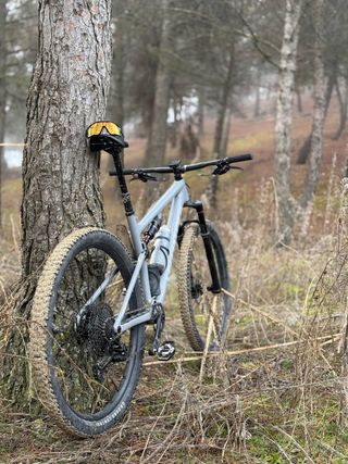 Specialized Epic Evo