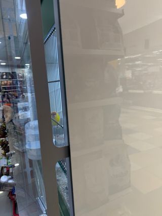 Expositor jaula para pájaros para tienda de animal