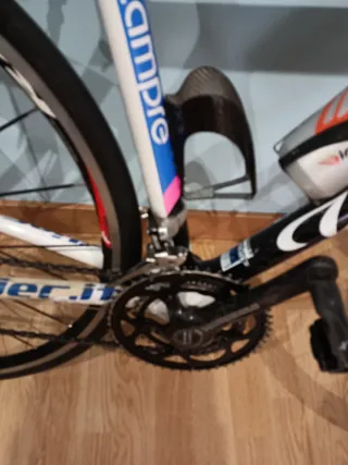 Bicicleta Willier Mortirolo