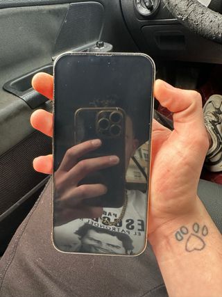 iPhone 13 Pro Max Oro/Bianco