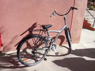 Bicicleta urbana gris