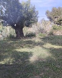 Mantenimiento de Jardines