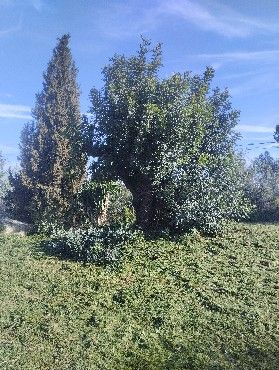 Mantenimiento de Jardines