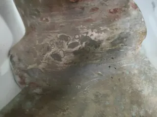 Hélices de bronce para barco