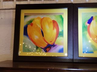 Pareja Cuadros Florales Abstractos