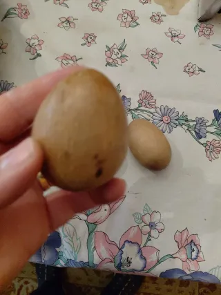 Huevos de madera para zurcir calcetines