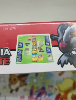 Academia de Combate Pokémon TCG