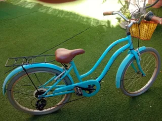 Bicicleta azul con cesta y portaequipajes