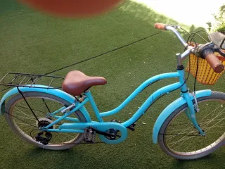 Bicicleta azul con cesta y portaequipajes