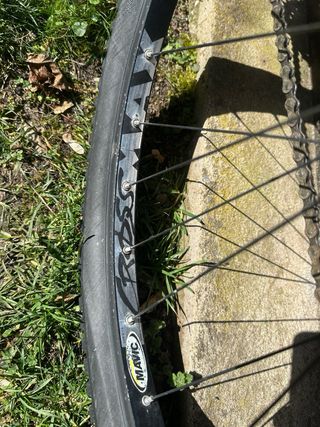 Marin Muirwoods (clásica)