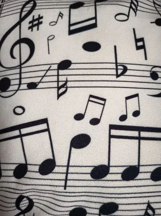 Cojin con relleno estampado p musical