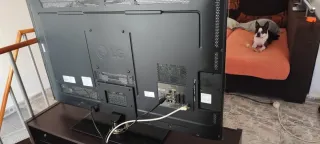 Televisor LG 50 pulgadas