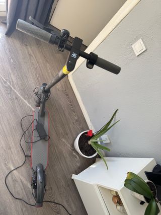 Patinete Eléctrico Xiaomi 1S Negro/Rojo