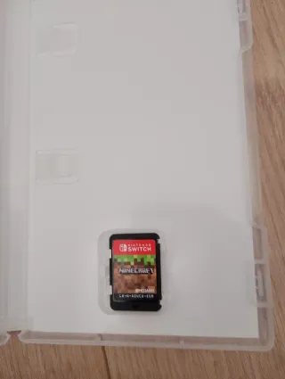 Minecraft Nintendo Switch