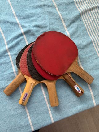Set 5 raquetas ping-pong