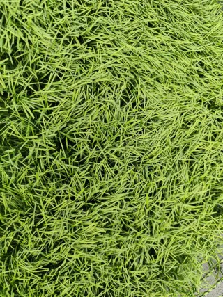 Césped artificial 45mm/50mm