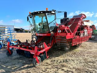 Cosechadora Tomates Barigelli 2015