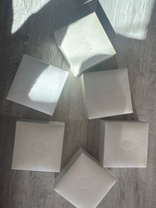 Lote 6 Cajas Pandora Grandes