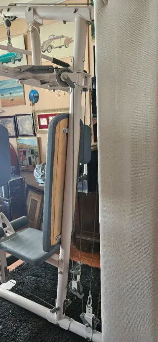 Máquina de pesas Domyos HG60-4