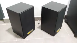 Altavoces Vintage ECW-200 (pareja)