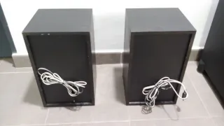 Altavoces Vintage ECW-200 (pareja)