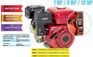 Motor 4 Tiempos Arranque Eléctrico OHV