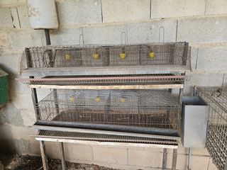 Jaulas para conejos, codornices, perdices