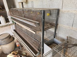 Jaulas para conejos, codornices, perdices