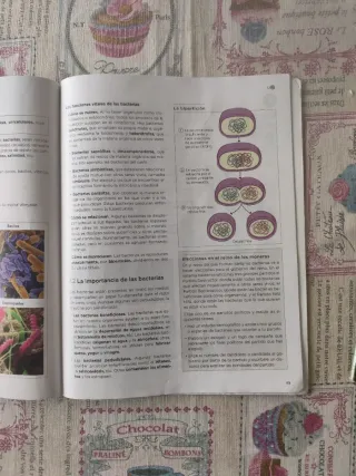 Libro Biología y Geología 1° ESO