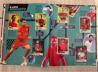 Album figurine UNICI Panini