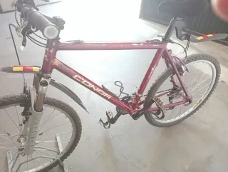 Bicicleta de Montaña