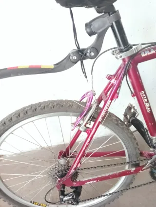 Bicicleta de Montaña