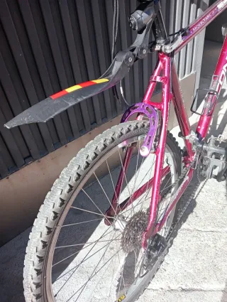 Bicicleta de Montaña