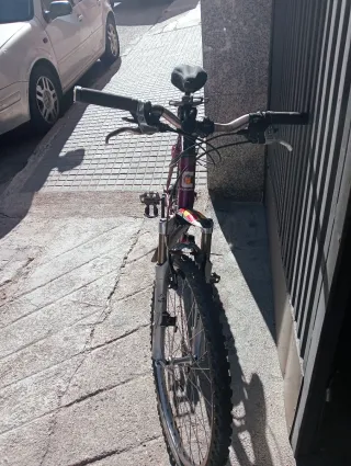 Bicicleta de Montaña