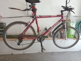 Bicicleta de Montaña