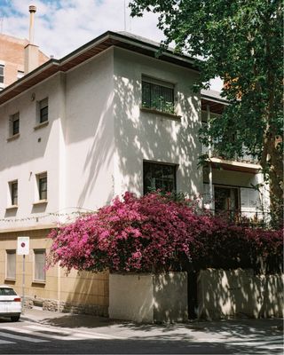 Cámara analógica Olympus