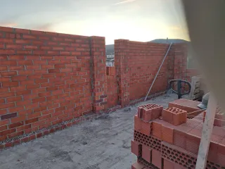 paleta oficial reformas