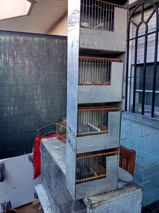 Cajonera con 4 jaulas de reclamo