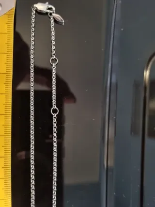 Collana Fossil cerchi intrecciati argento